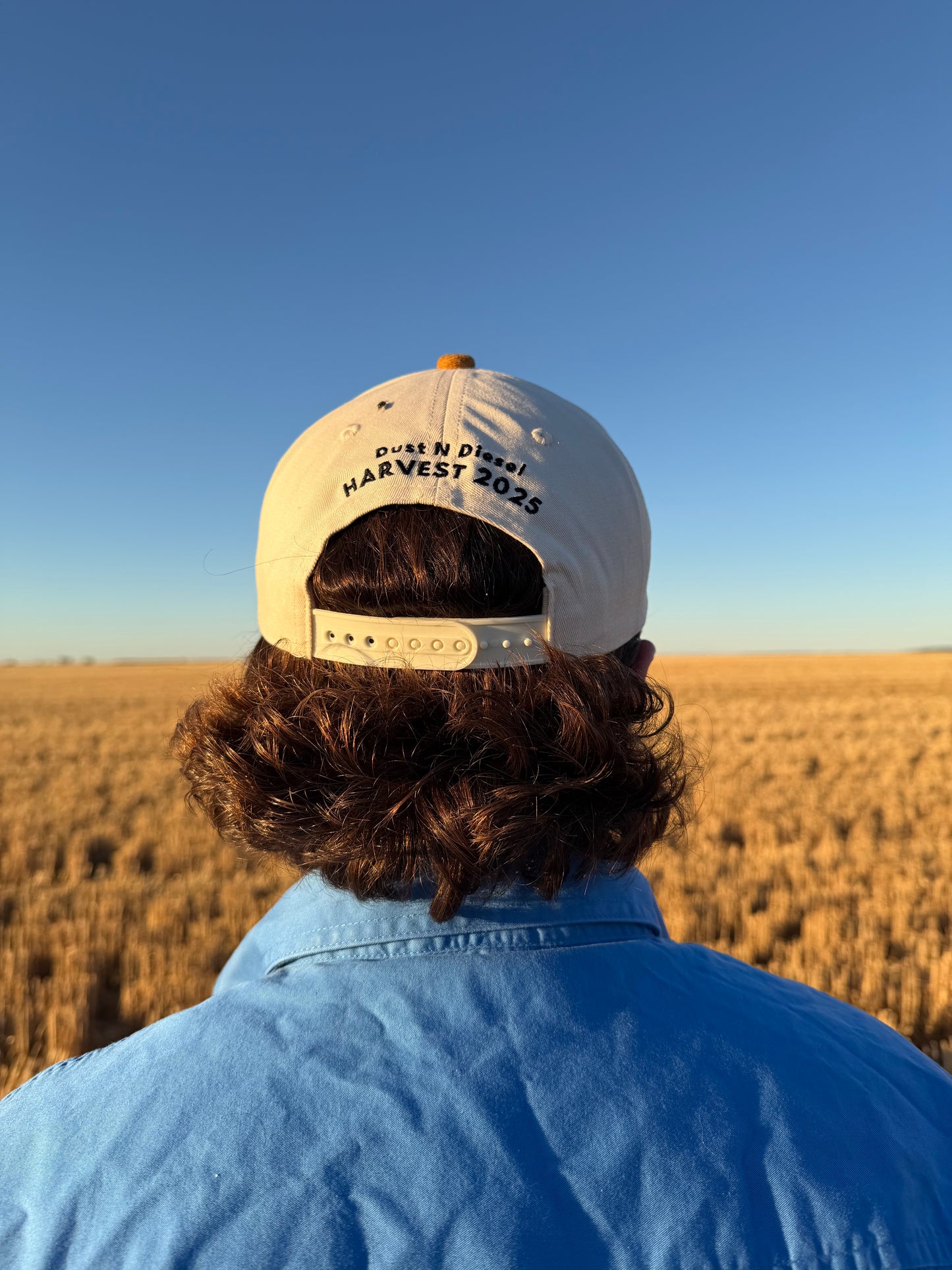 Harvest 2025 Cap & Sticker