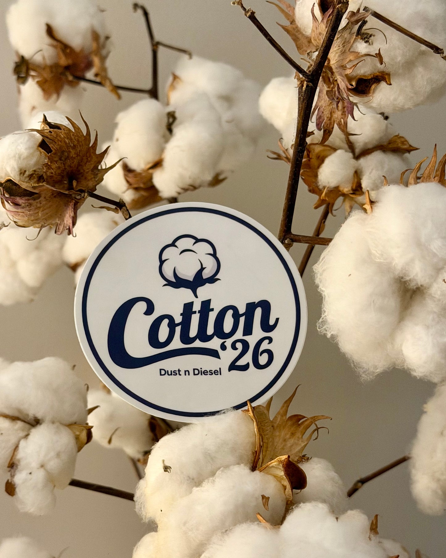 Cotton ‘26 Cap & Sticker