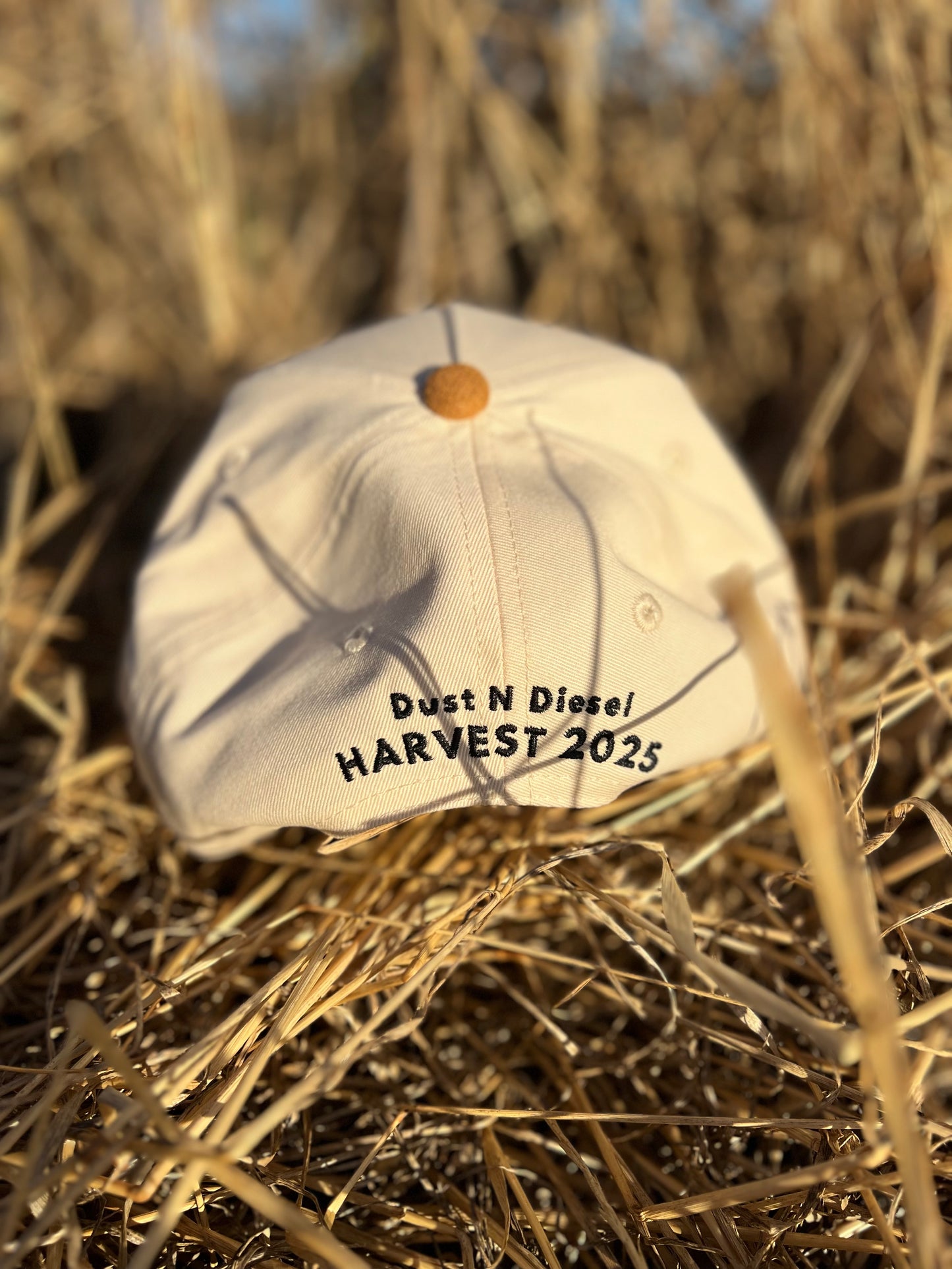 Harvest 2025 Cap & Sticker