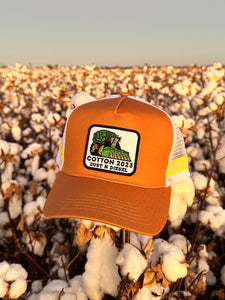 'Cotton 2023' Cap