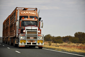 The Tanami Trucker